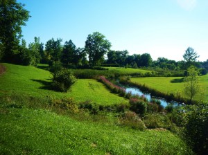 Barry Park courtesy Flickr.